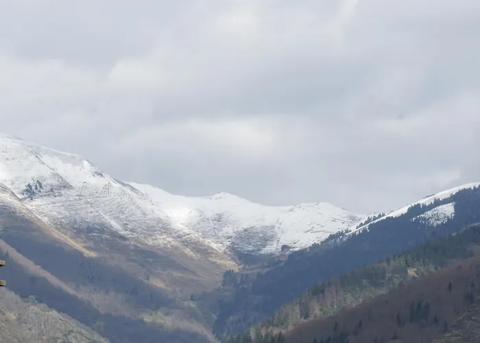 Reines Des Pyrenees, T2, Entier, Centre Luchon, Tarif Cure Thermale, Wifi, Casier A Skis, Ascenseur شقة *